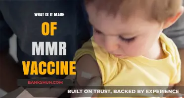 Understanding the MMR Vaccine: Ingredients and Their Purpose Explained