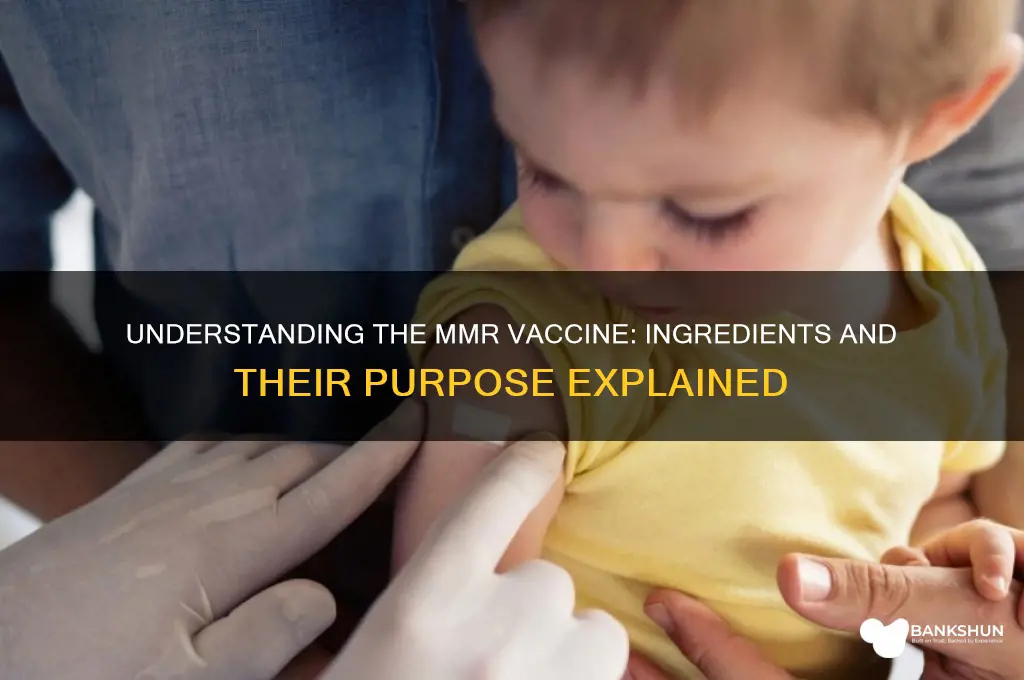 what is it made of mmr vaccine