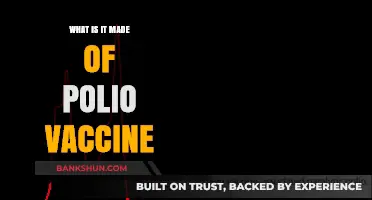 Understanding the Composition of the Polio Vaccine: Key Ingredients Explained