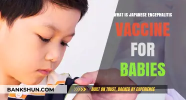 Protecting Infants: Understanding Japanese Encephalitis Vaccine Benefits and Safety