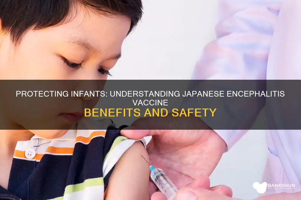 what is japanese encephalitis vaccine for babies