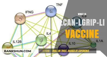 Understanding the LCAn-LGriP-LICT-LPoM Vaccine: Benefits, Uses, and Importance