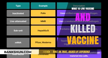 Live vs. Killed Vaccines: Understanding the Key Differences and Benefits