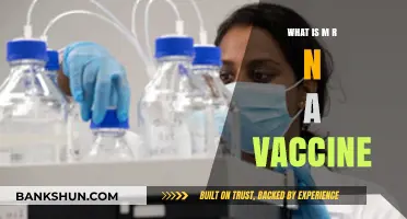 Understanding mRNA Vaccines: How This Revolutionary Technology Works