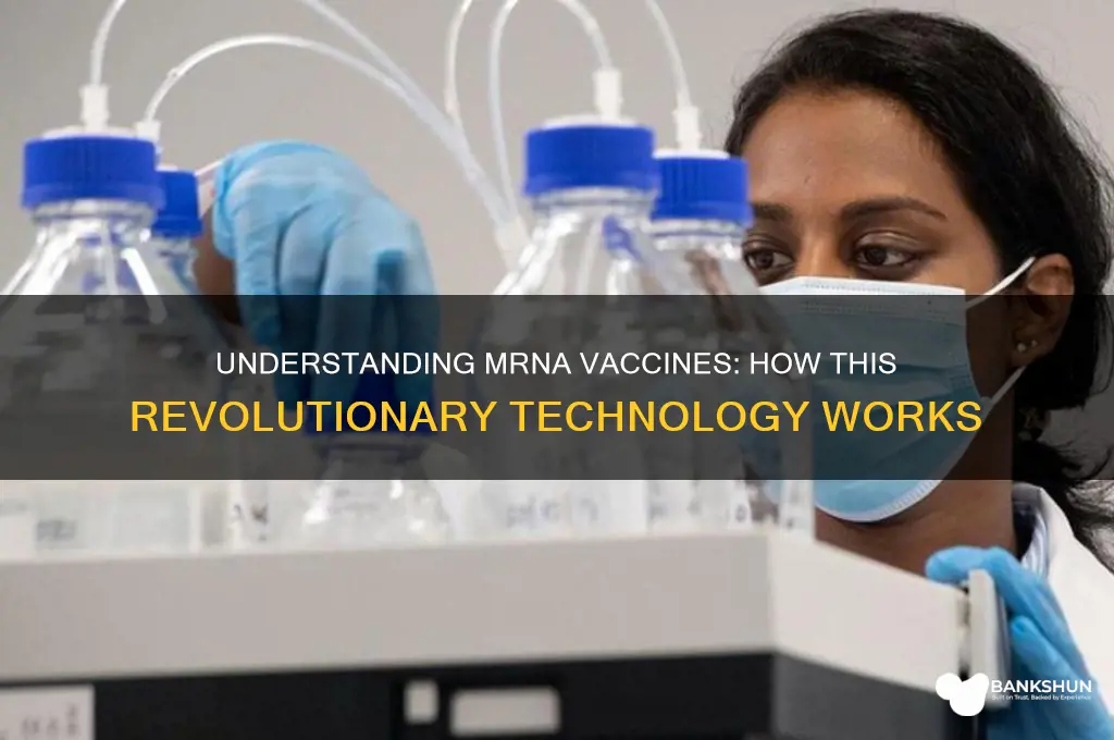what is m r n a vaccine