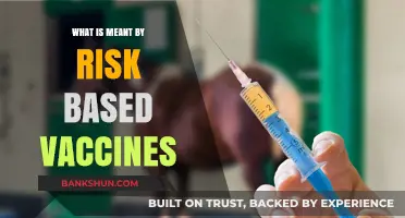 Understanding Risk-Based Vaccines: Tailored Immunization Strategies for Optimal Protection