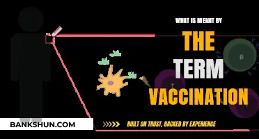 Understanding Vaccination: Definition, Purpose, and Importance Explained Simply