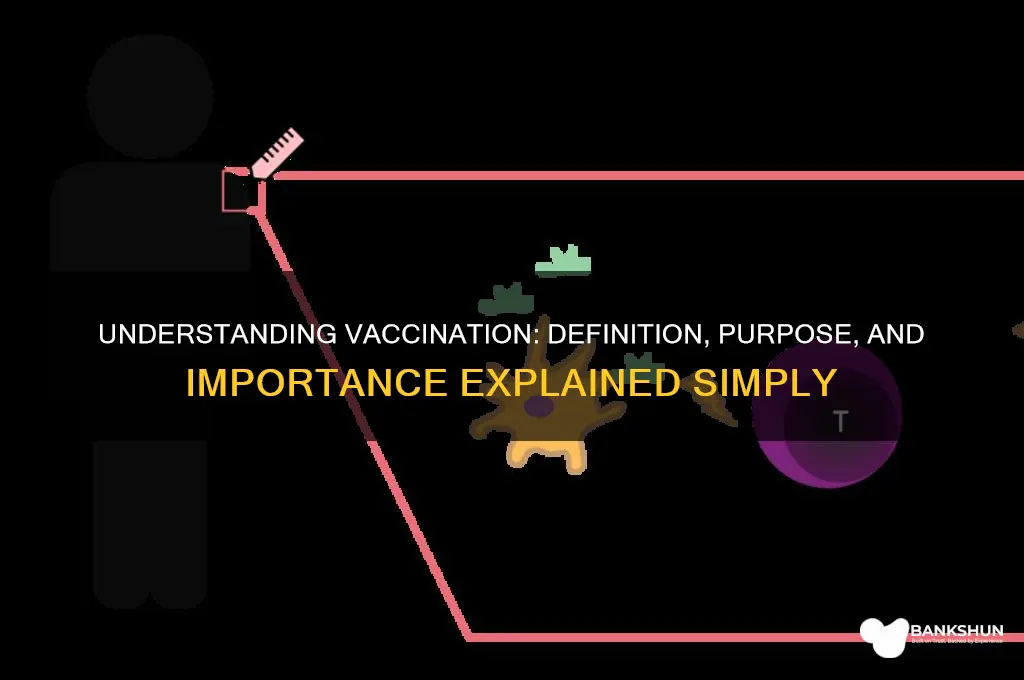 what is meant by the term vaccination