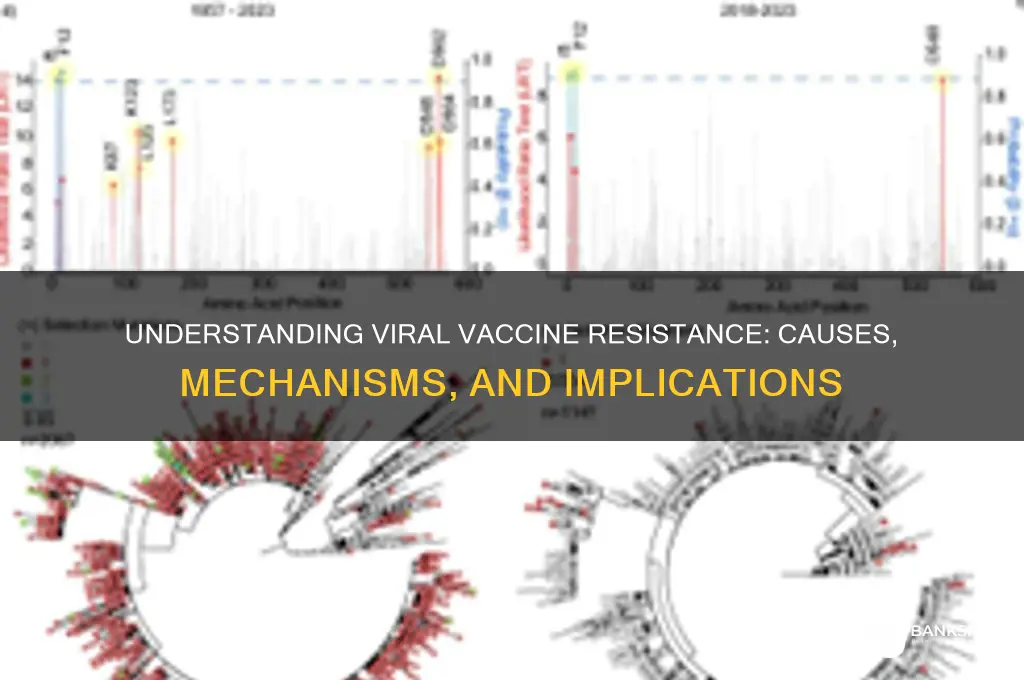 what is meant by viral vaccine resistance