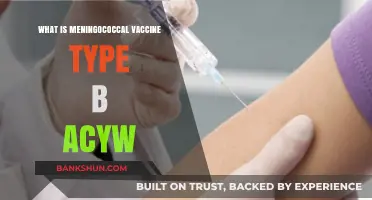 Understanding Meningococcal Vaccine Type B ACYW: Benefits, Uses, and Importance