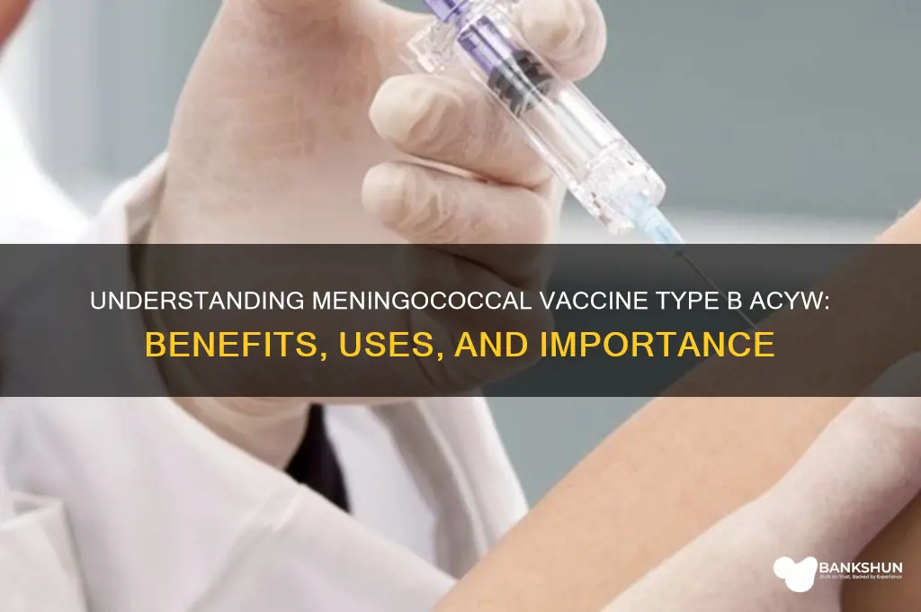 what is meningococcal vaccine type b acyw