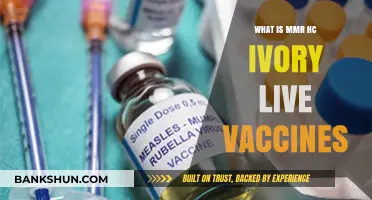Understanding MMR HC Ivory Live Vaccines: Benefits, Uses, and Safety