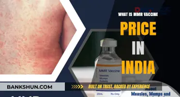 MMR Vaccine Cost in India: Affordable Protection for All