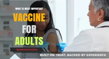 Essential Adult Vaccines: Prioritizing Health and Immunity for Longevity