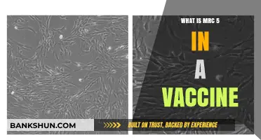 Understanding MRC-5: Its Role and Safety in Vaccine Development
