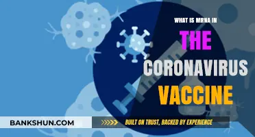 Understanding mRNA Technology in COVID-19 Vaccines: A Comprehensive Guide
