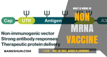 Understanding mRNA vs Non-mRNA Vaccines: Key Differences Explained