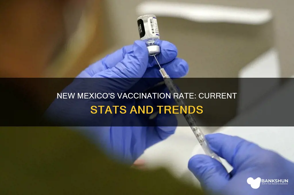 what is new mexico