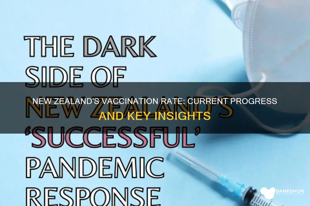 what is new zealand