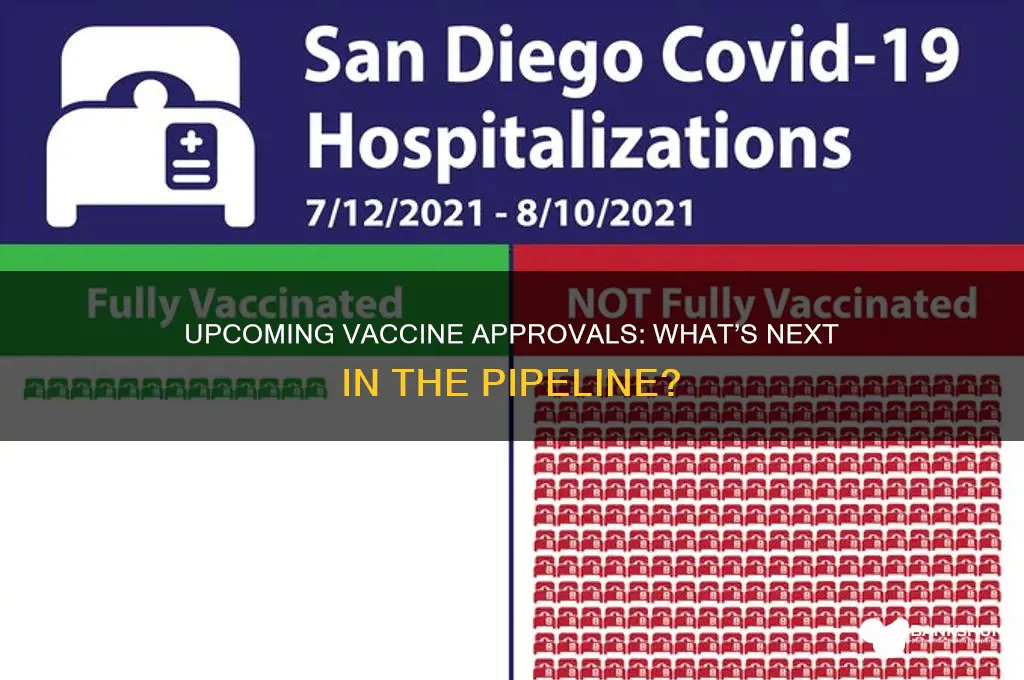 what is next vaccine to be approved