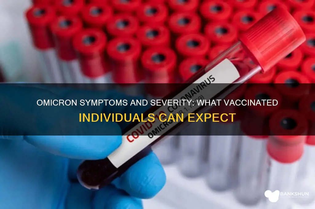 what is omicron like for the vaccinated