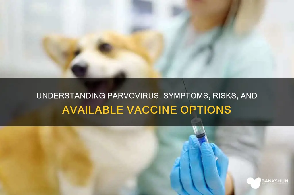 what is parvovirus is there a vaccine