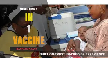 Understanding Penta 5-in-1 Vaccine: Benefits, Uses, and Importance