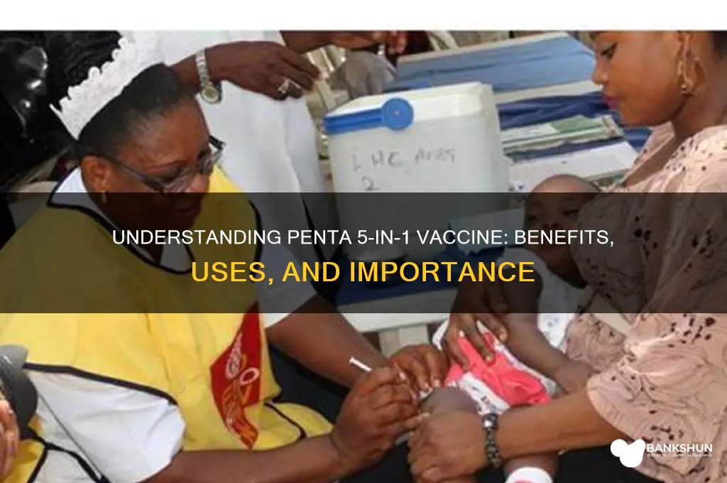 what is penta 5 in 1 vaccine
