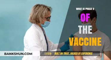 Understanding Phase 2: Crucial Steps in Vaccine Development and Safety