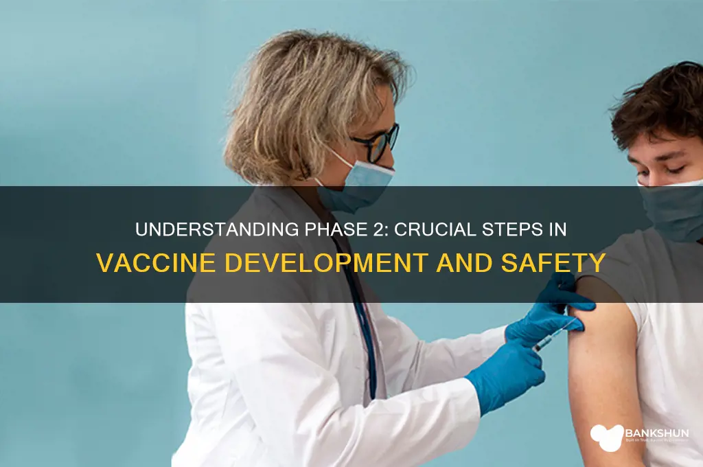 what is phase 2 of the vaccine