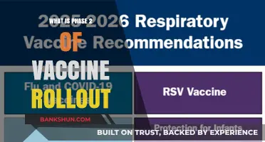 Understanding Phase 2: Expanding Vaccine Access and Priorities Explained