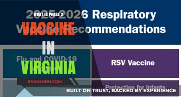 Understanding Virginia's Phase 2 COVID-19 Vaccine Rollout and Eligibility