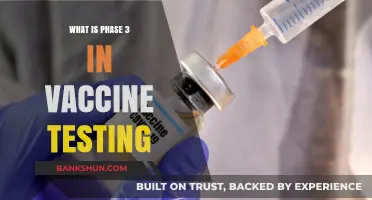 Understanding Phase 3: The Final Stage of Vaccine Testing Explained