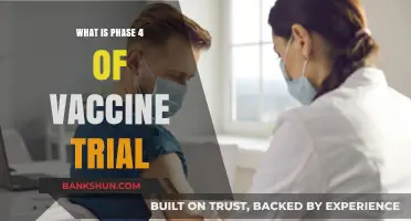 Understanding Phase 4 Vaccine Trials: Post-Approval Safety Monitoring Explained