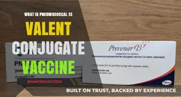 Understanding the Pneumococcal 13-Valent Conjugate Vaccine: Benefits and Uses