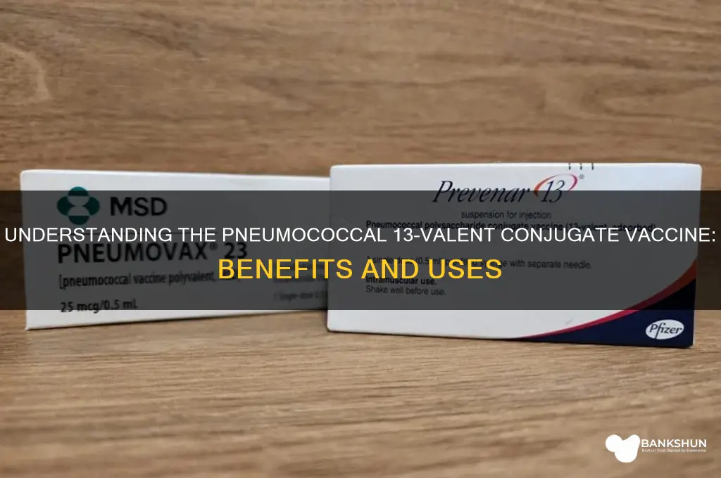what is pneumococcal 13 valent conjugate vaccine