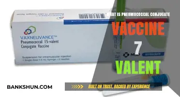 Understanding the 7-Valent Pneumococcal Conjugate Vaccine: Uses and Benefits