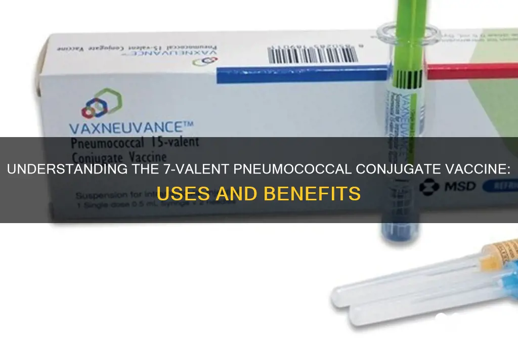 what is pneumococcal conjugate vaccine 7 valent