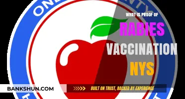 Understanding NYS Rabies Vaccination Proof Requirements for Pet Owners