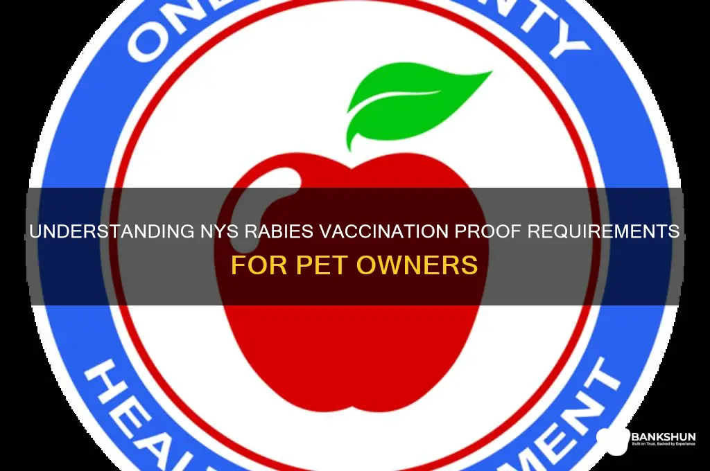 what is proof of rabies vaccination nys