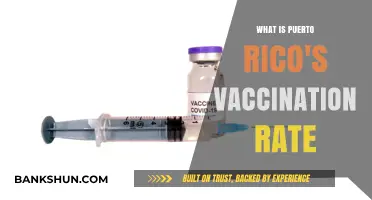 Puerto Rico's Vaccination Progress: Current Rates and Public Health Insights