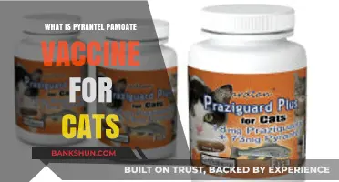 Pyrantel Pamoate for Cats: Uses, Benefits, and Administration Guide