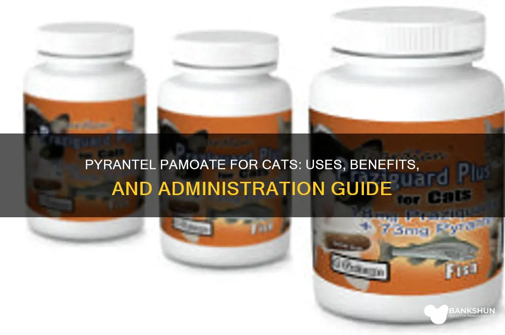 what is pyrantel pamoate vaccine for cats