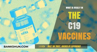 Unveiling the Truth: Ingredients in COVID-19 Vaccines Explained
