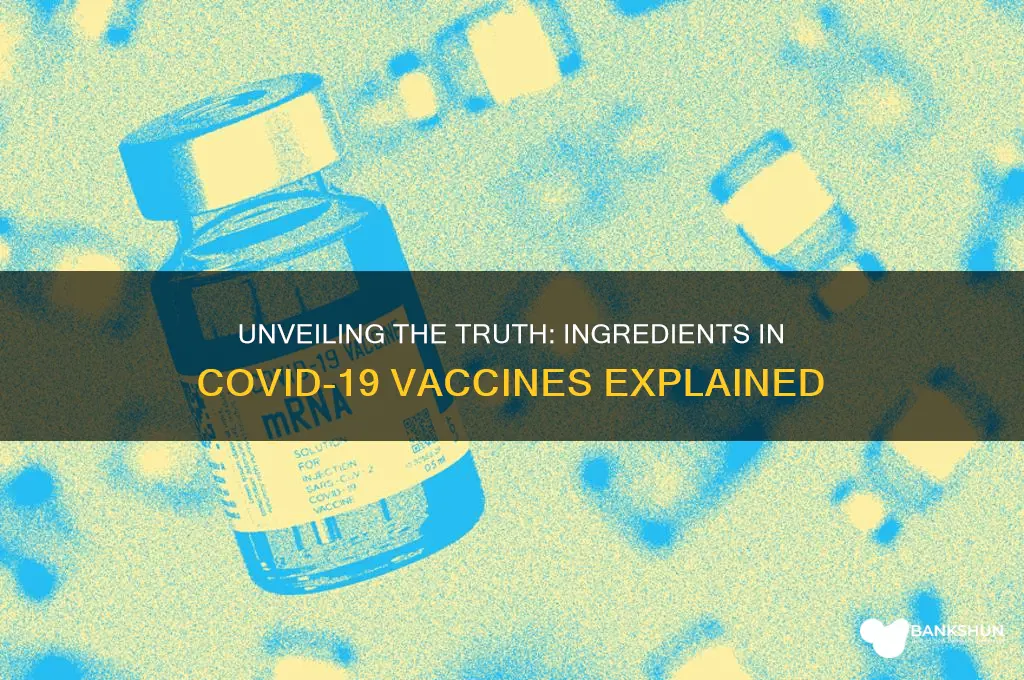what is really in the c19 vaccines