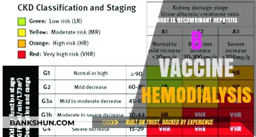 Recombinant Hepatitis B Vaccine in Hemodialysis Patients: A Comprehensive Guide