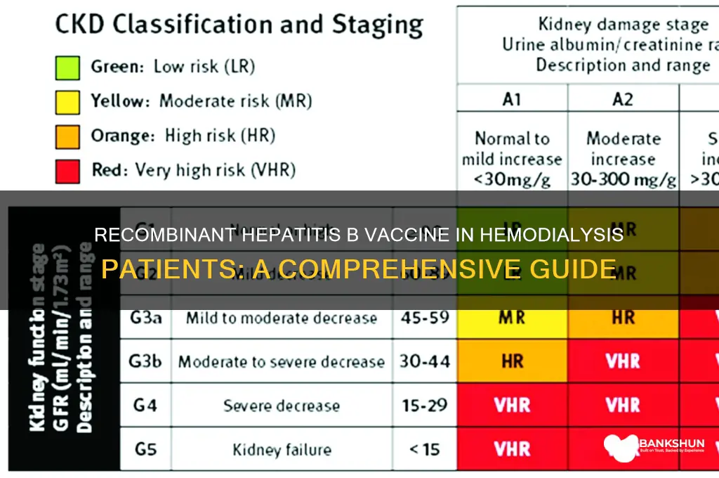 what is recombinant hepatitis b vaccine hemodialysis