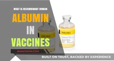 Understanding Recombinant Human Albumin's Role in Modern Vaccine Development