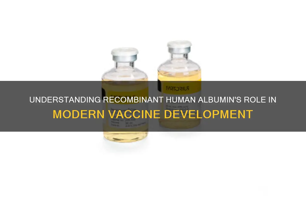 what is recombinant human albumin in vaccines