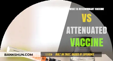 Recombinant vs Attenuated Vaccines: Key Differences and Effectiveness Explained